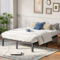 Metal Platform Bed
